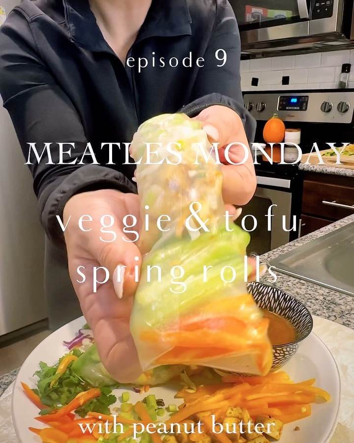 Veggie & Tofu Spring Rolls