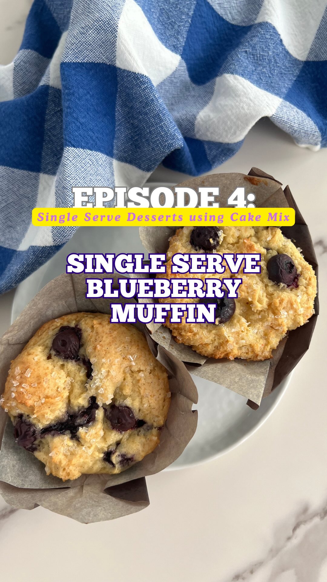 Single Serve Blueberry Muffin